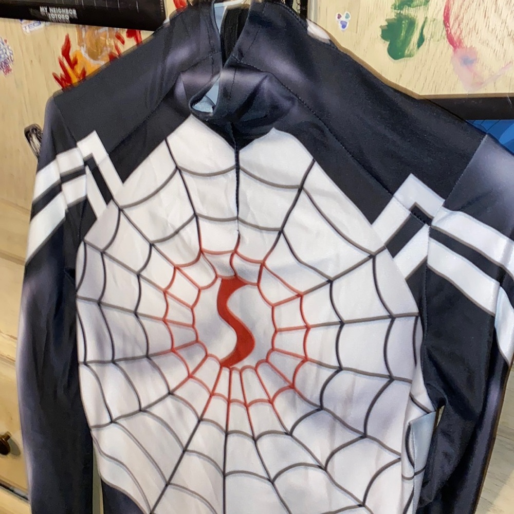 Silk Costume